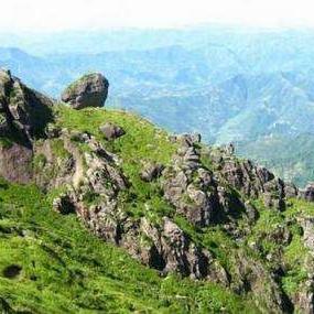 上海产检哪些费用免费