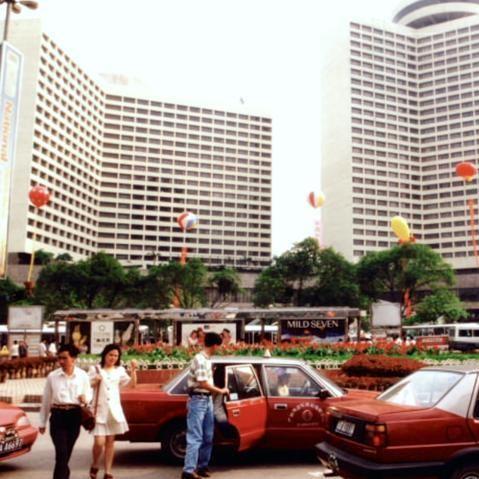 什么花代表广州市
