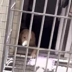 武汉市什么时候开始封城