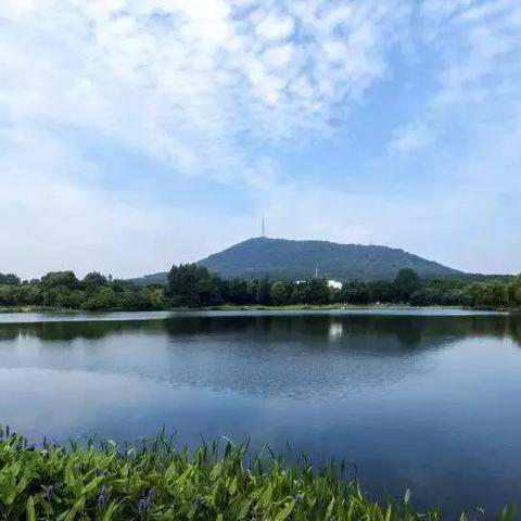 合肥蜀山区地块相关长尾关键词有哪些