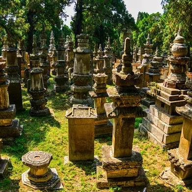 济南市四大什么地方