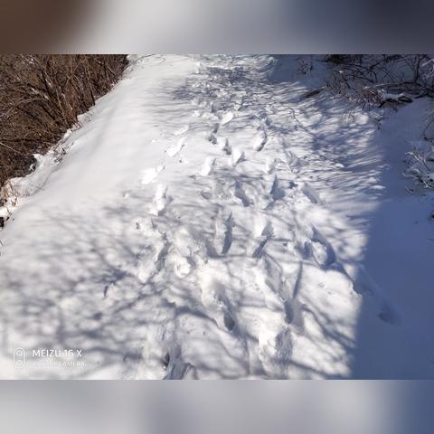 石家庄市龙山属于哪个区