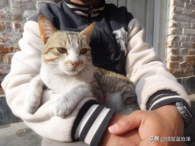 怀孕前三个月不可以告诉别人吗