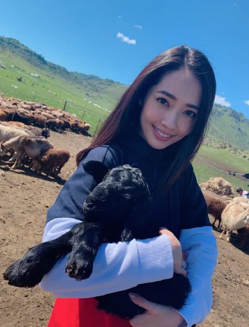 美食节目都有什么美食（你喜欢电视上的哪个美食节目）