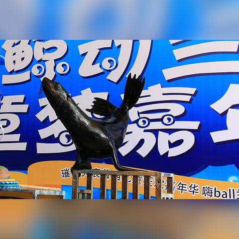 兰州市吃的鱼从哪里来