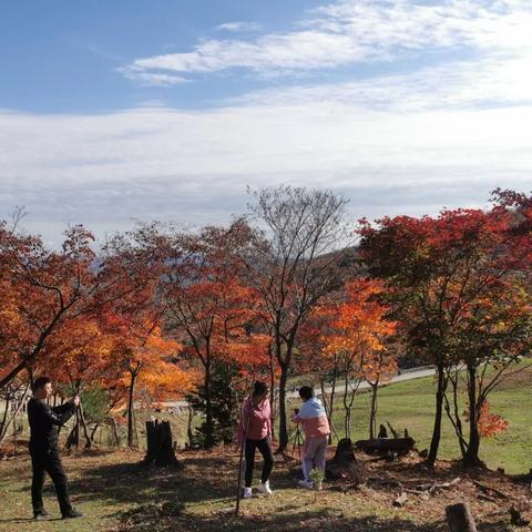 十一旅游天气怎么样