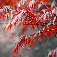 什么是宁波市五一卡