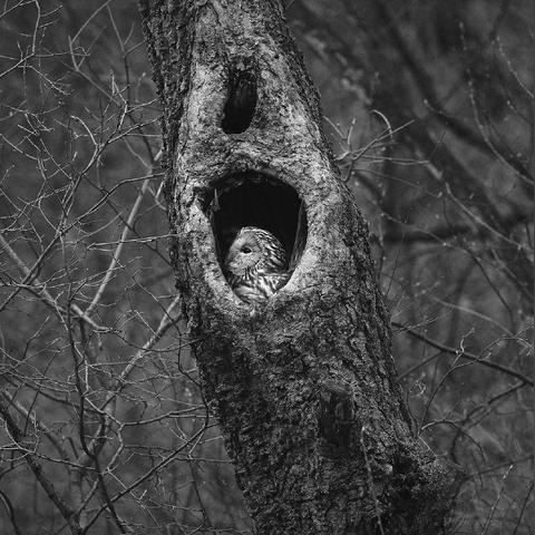 吉林ai人工智能免费咨询的相关长尾关键词有哪些