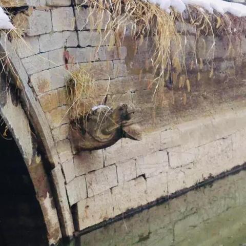 合肥市巢湖有什么桥名称