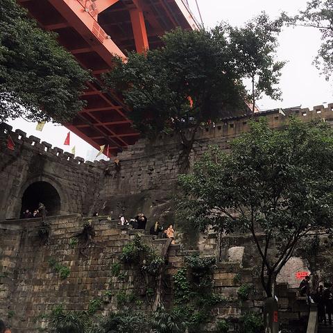 重庆东水门桥在哪个位置