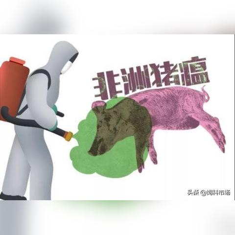 沈阳贴壁纸电话相关长尾关键词有哪些
