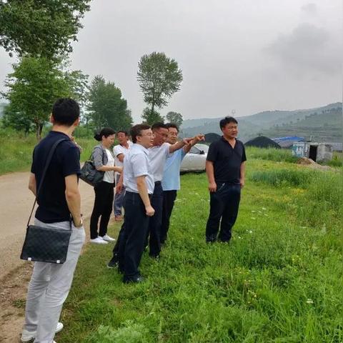 合肥胜利新村房子质量怎么样？