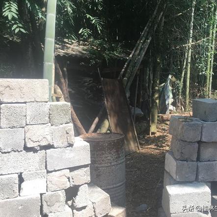 桂林市哪里的鸡好吃点啊