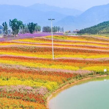 龙岩紫金学校怎么样？