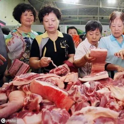 【合肥今日生猪价格】2025年8月17日合肥生猪价格是多少