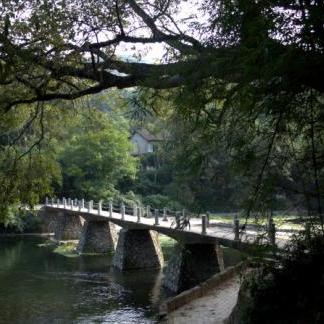 桂林各县方言区别大吗相关长尾关键词有哪些