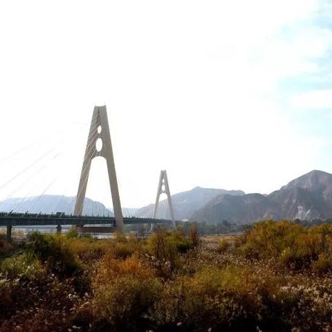 兰州最有名的黄河大桥？