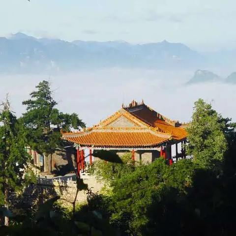 西安市怎么预约b超医生