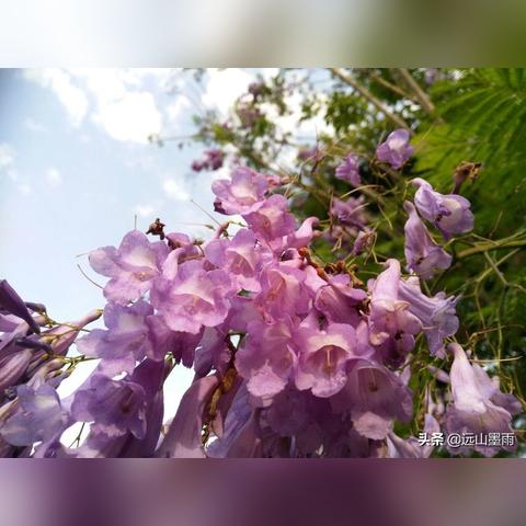 开远市至昆明市客运的长尾关键词有什么