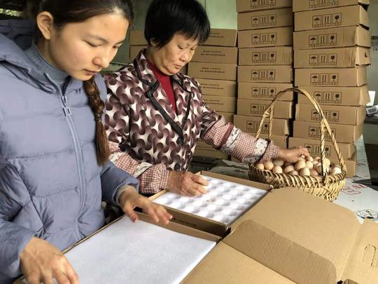 95后妹纸回乡创业养鸡年入百万，为父母改善生活，练就一身腱子肉