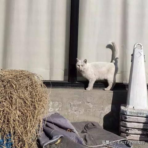 天气预报 北京 6月的长尾关键词有哪些