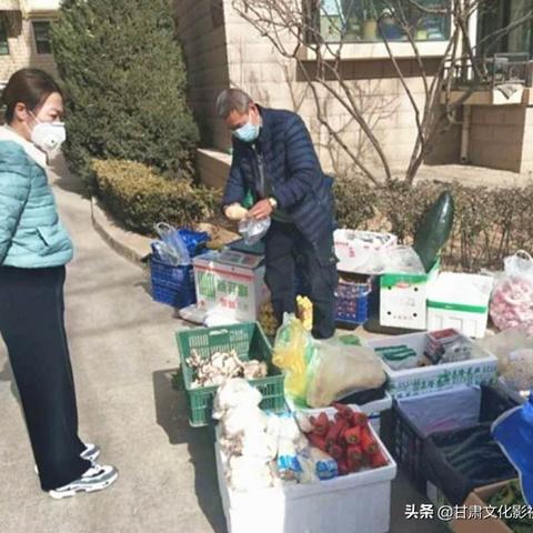 【兰州今日菜价】2025年6月11日兰州菜价是多少