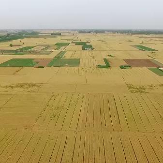 农用拖拉机没年审还能上路吗？