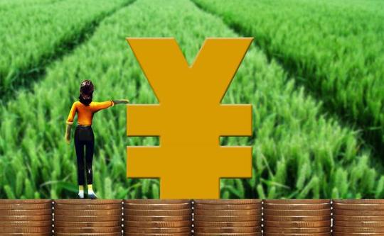 农村返乡“创业潮”，这几个生意“长久又挣钱”，国家还给补贴