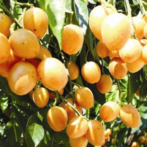 南宁市双定属于哪个区县