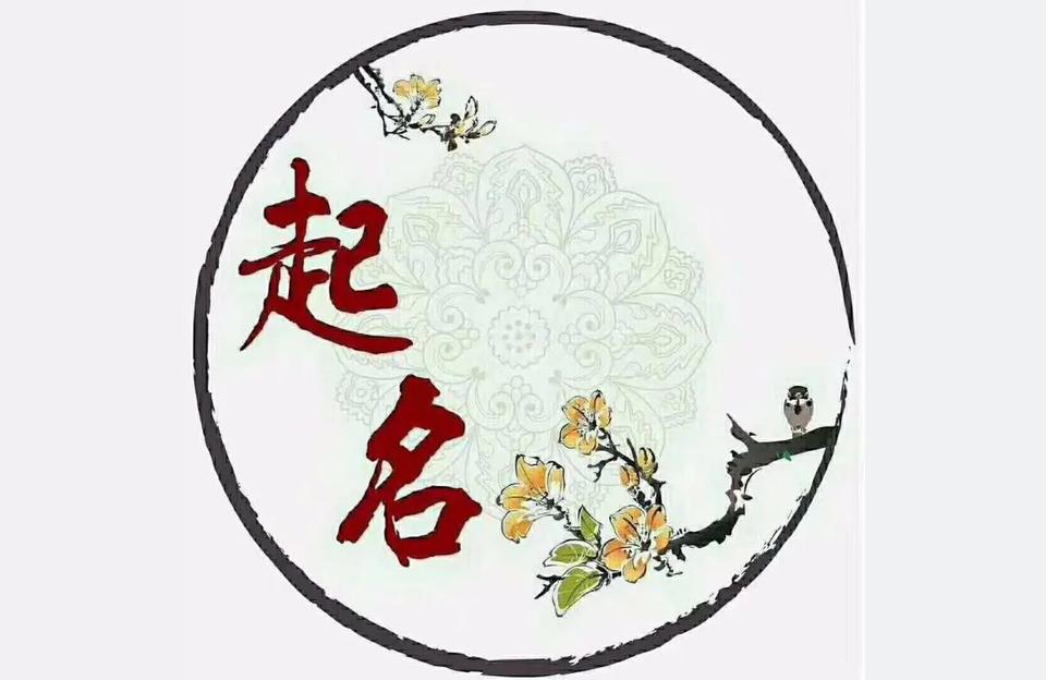 双胞胎宝宝宝起名子怎么起(潘姓双胞胎取名)