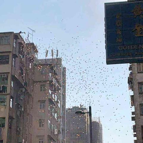 桂林玻璃雨篷制作相关长尾关键词有哪些