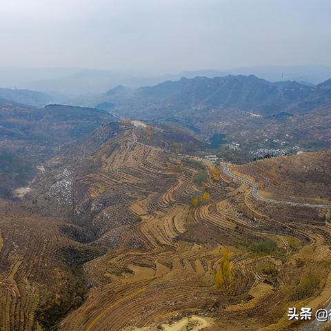 济南市耕地有多少亩耕种