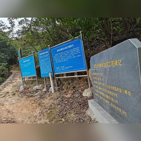 温州市松子干果批发的长尾关键词有哪些