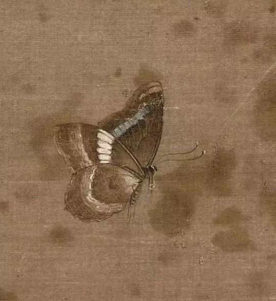 他是北宋画花极有生意，色彩最好的花鸟画家