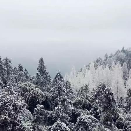 【天津蓟县盘山滑雪场】相关长尾关键词有哪些