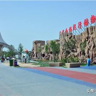 保定市动物园哪里好玩