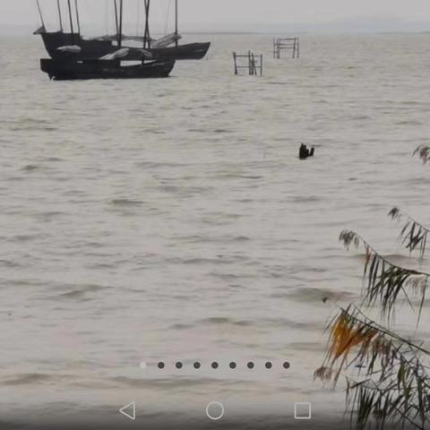 无锡市现在红枫哪里最好