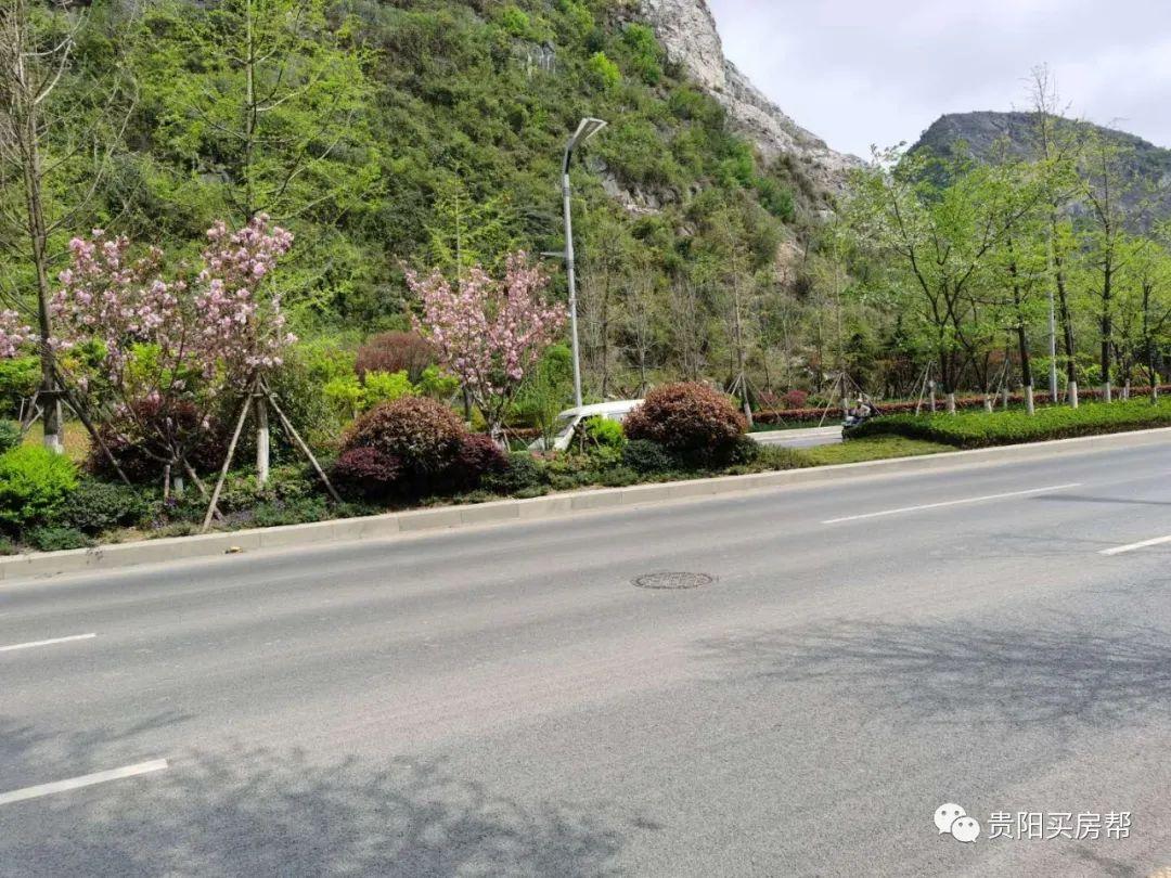 红绿灯实景图片你会选择骑自行车上班吗