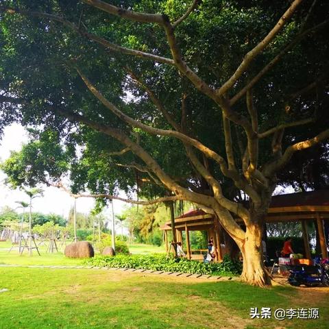 厦门黄厝塔头社的相关长尾关键词有哪些