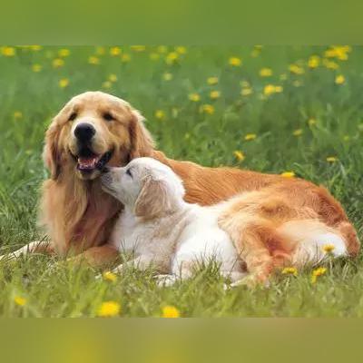 温州市打疫苗领钱的长尾关键词有什么