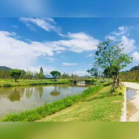 温州市瑞安市新河中学的长尾关键词有哪些