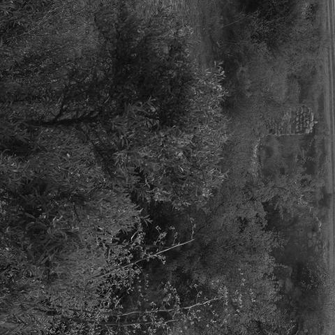 洪洞什么时间有雨