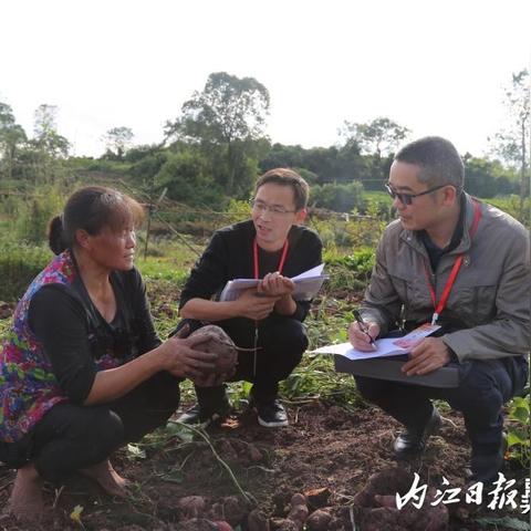 隆昌市足球比赛双凤的长尾关键词有什么
