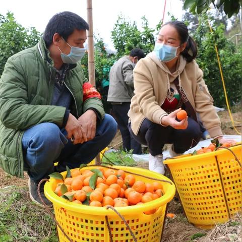 桂林市2月穿什么衣服