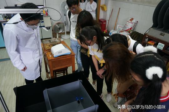 很缺人的6大医学专业，争议比较大，但就业率很高，适合男生报考