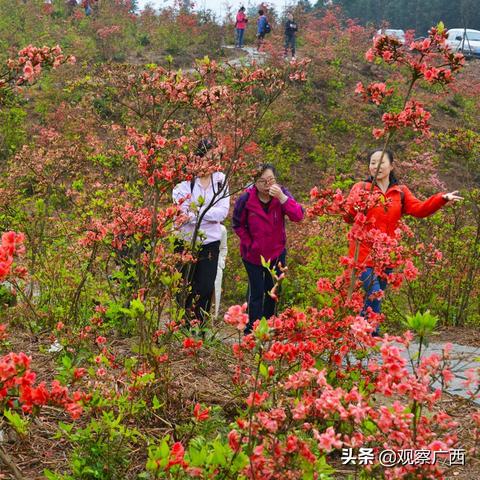 桂林春风摩托相关长尾关键词有哪些