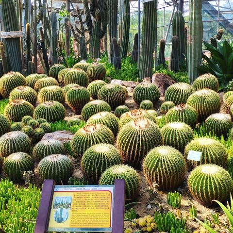 广州市中医院有什么科室