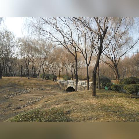 济南市森林公园在哪里