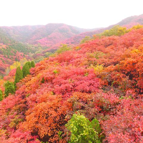 济南市中区停车办在哪里