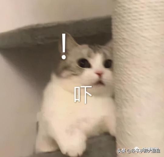 “网友分享自己的冷门小爱好，果然是与众不同！”